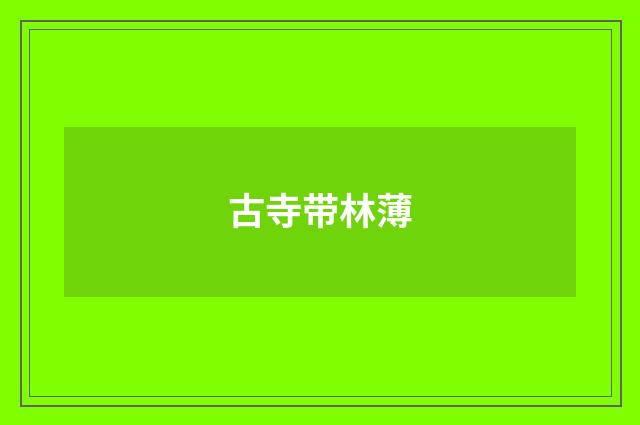 古寺带林薄