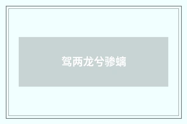 驾两龙兮骖螭