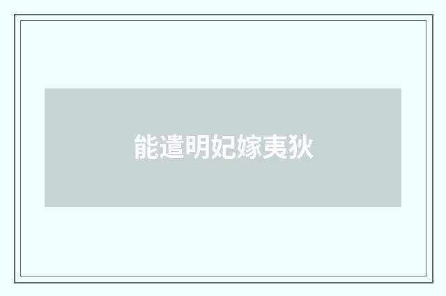 能遣明妃嫁夷狄