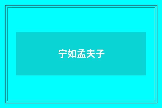 宁如孟夫子