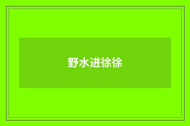 野水进徐徐