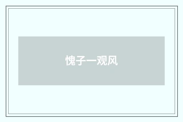 愧子一观风