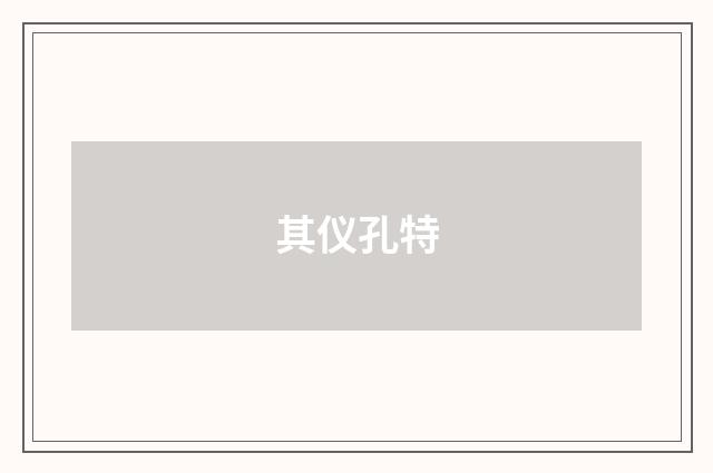 其仪孔特