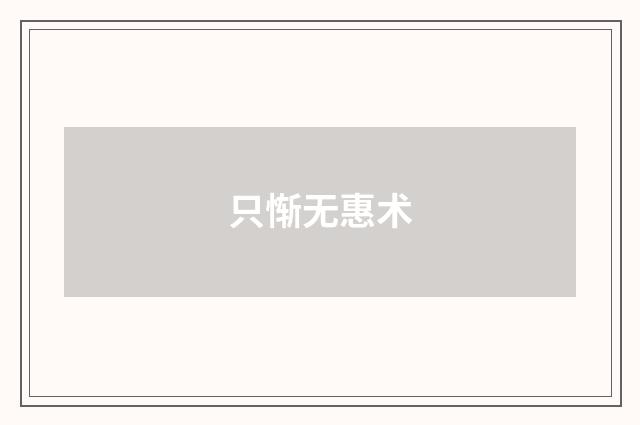 只惭无惠术