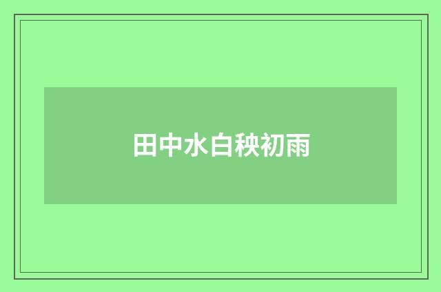 田中水白秧初雨