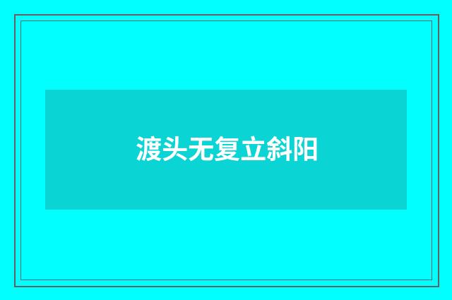 渡头无复立斜阳