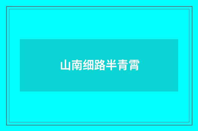 山南细路半青霄