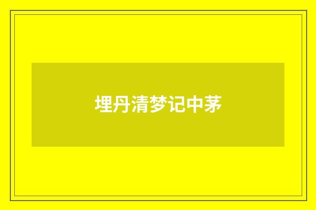 埋丹清梦记中茅