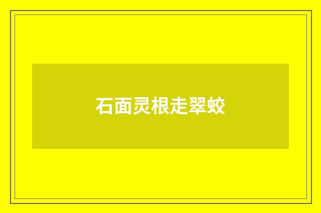 石面灵根走翠蛟
