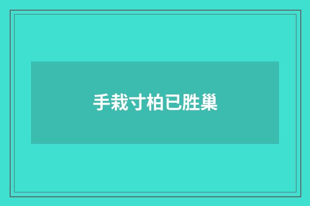手栽寸柏已胜巢