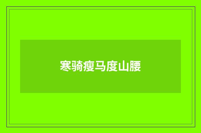 寒骑瘦马度山腰
