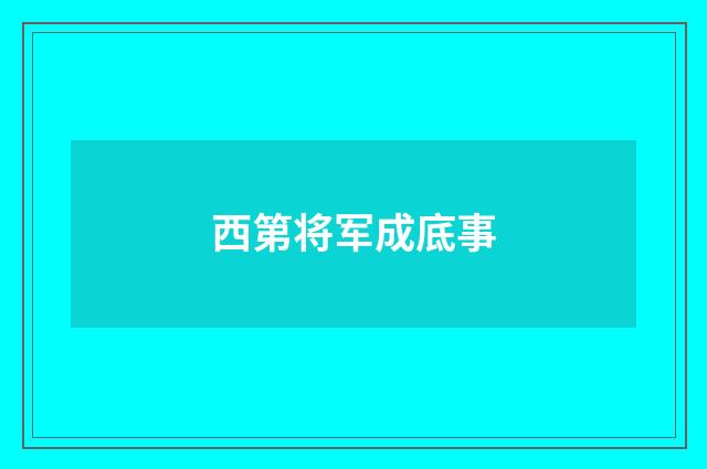 西第将军成底事