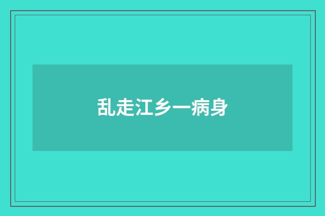 乱走江乡一病身
