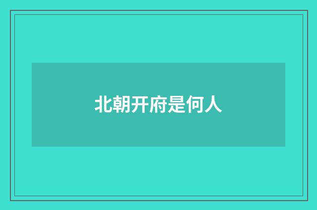 北朝开府是何人