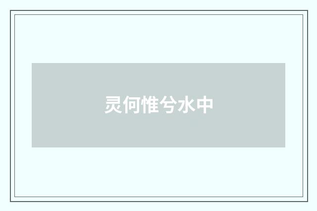 灵何惟兮水中