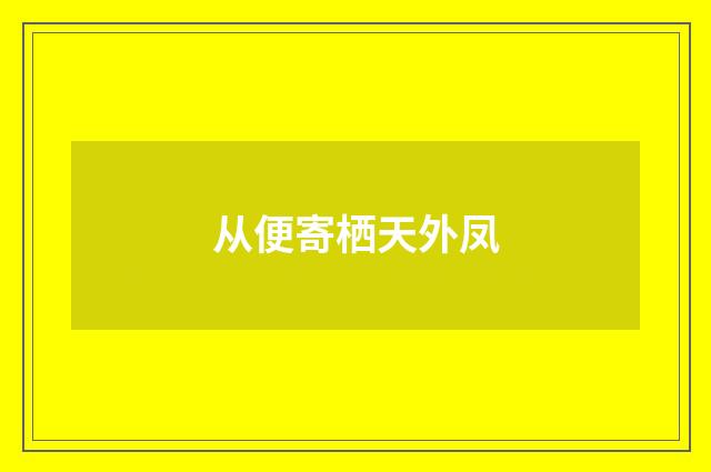 从便寄栖天外凤