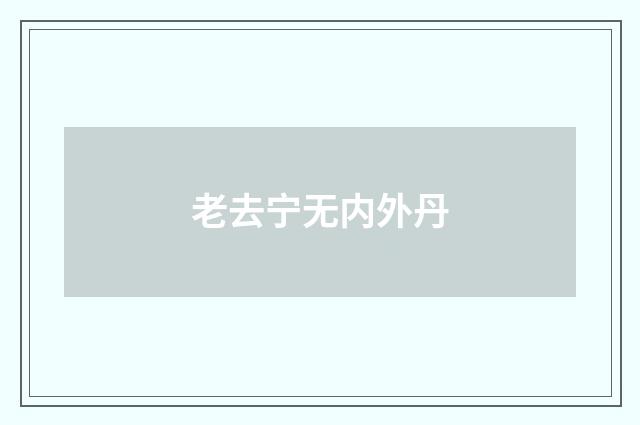 老去宁无内外丹