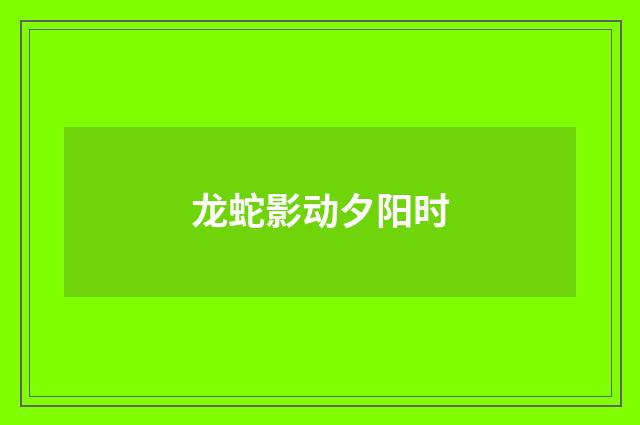 龙蛇影动夕阳时