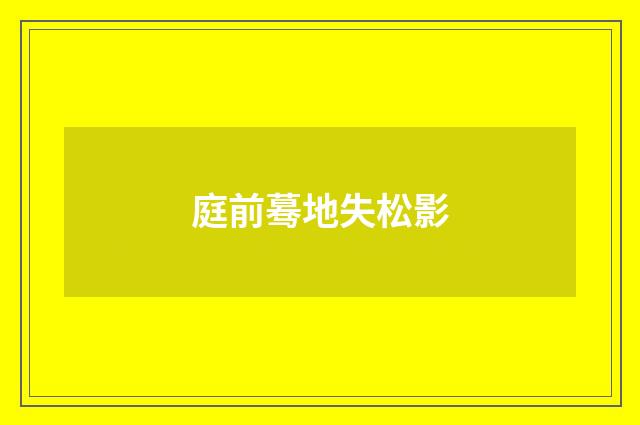 庭前蓦地失松影