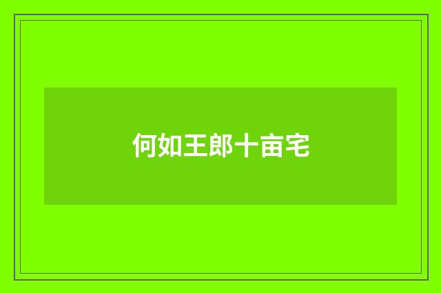 何如王郎十亩宅