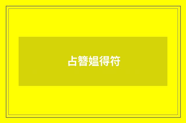 占簪媪得符