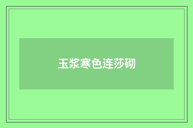 玉浆寒色连莎砌