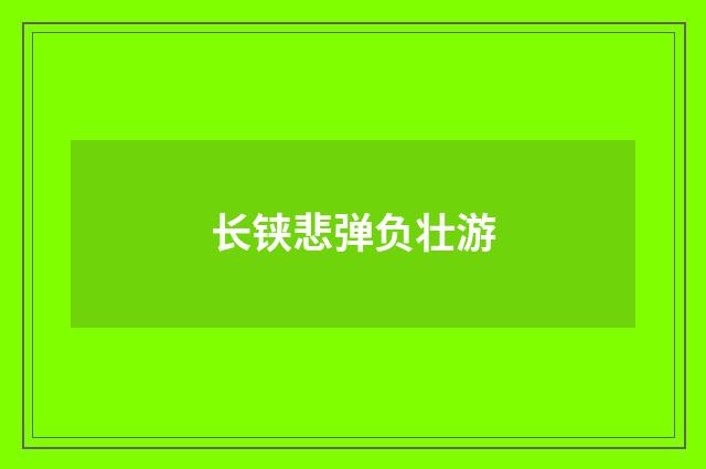 长铗悲弹负壮游
