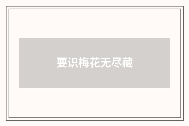 要识梅花无尽藏