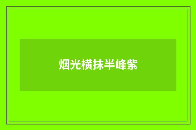 烟光横抹半峰紫