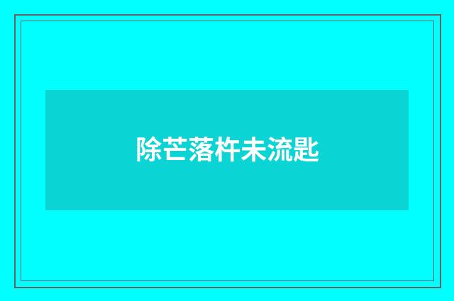 除芒落杵未流匙