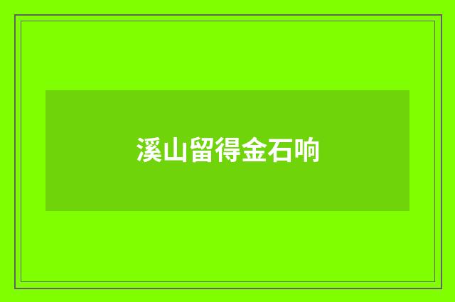 溪山留得金石响