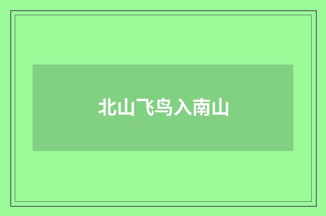 北山飞鸟入南山