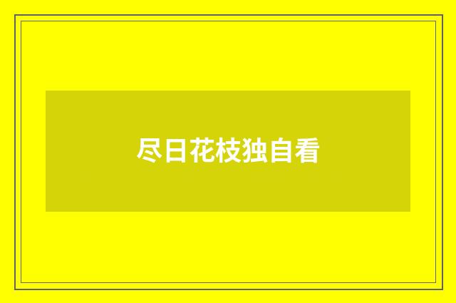 尽日花枝独自看