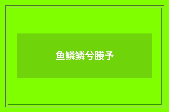 鱼鳞鳞兮媵予