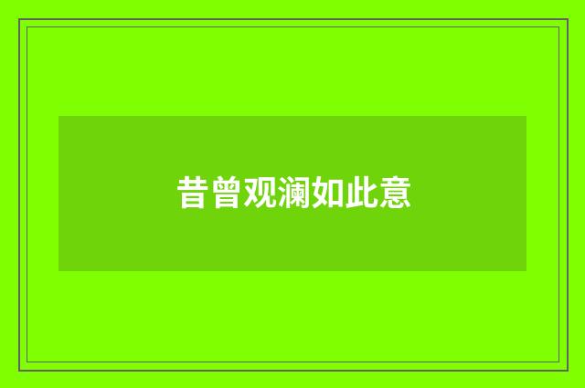 昔曾观澜如此意