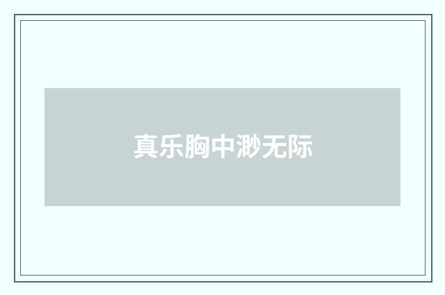 真乐胸中渺无际