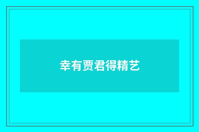 幸有贾君得精艺