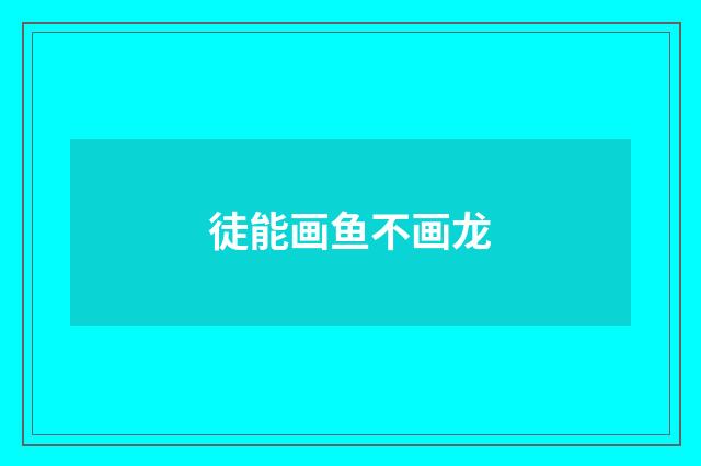 徒能画鱼不画龙