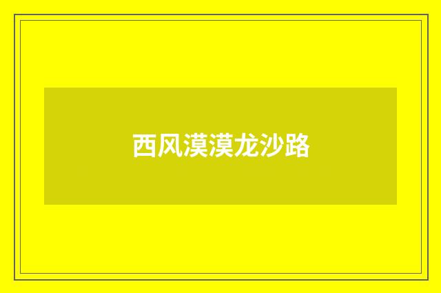 西风漠漠龙沙路