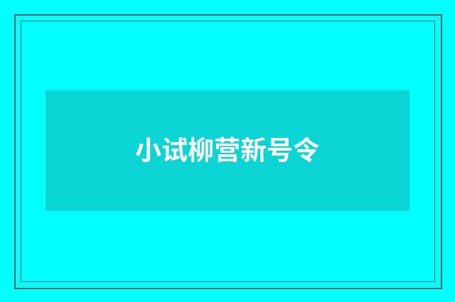 小试柳营新号令