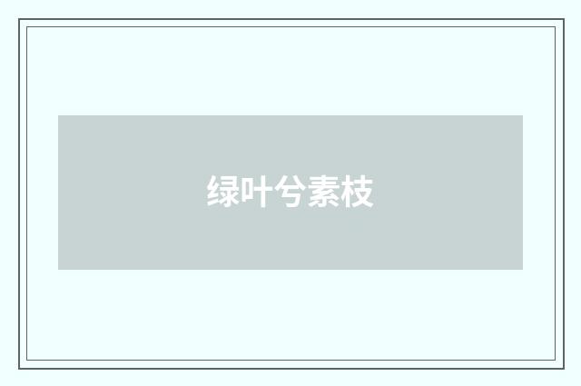 绿叶兮素枝