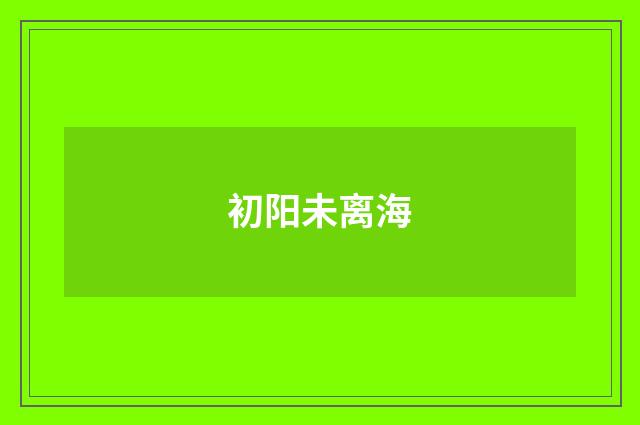 初阳未离海