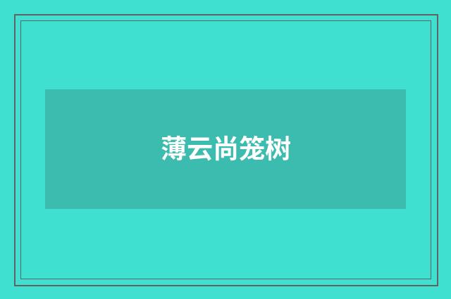 薄云尚笼树