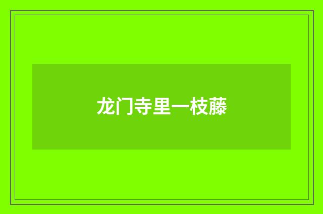 龙门寺里一枝藤