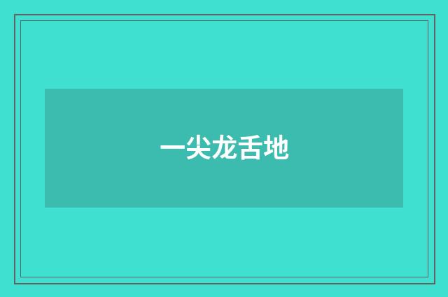 一尖龙舌地