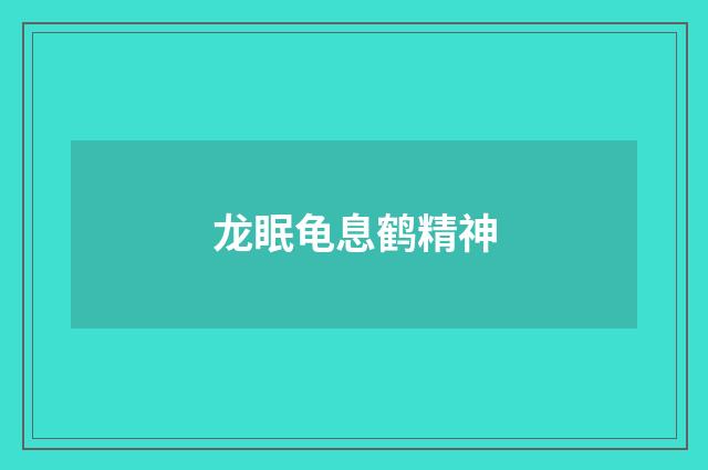 龙眠龟息鹤精神