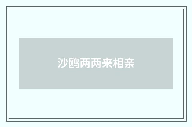 沙鸥两两来相亲