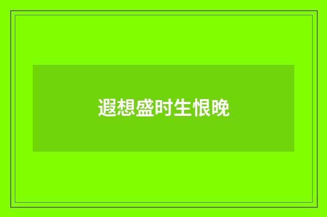 遐想盛时生恨晚