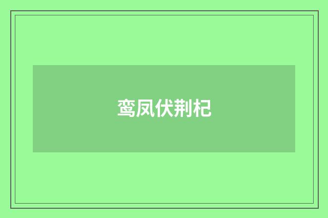 鸾凤伏荆杞