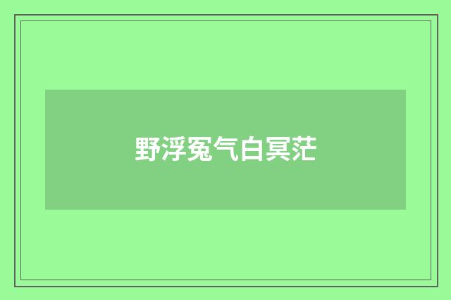 野浮冤气白冥茫